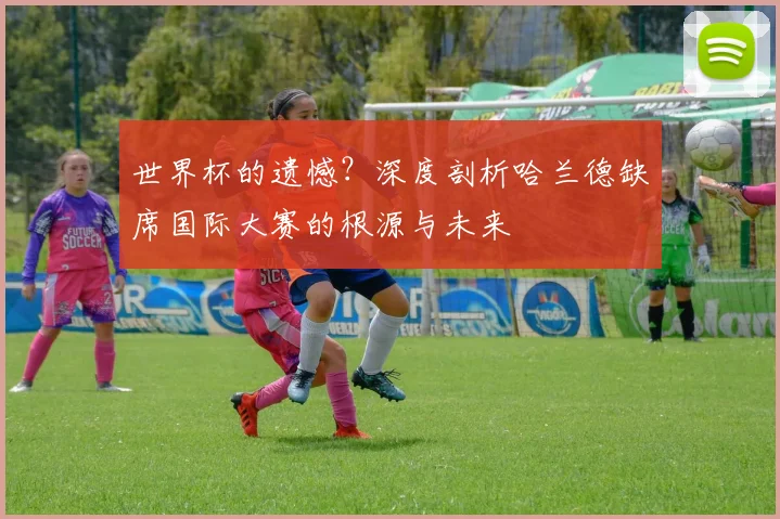 世界杯的遗憾？深度剖析哈兰德缺席国际大赛的根源与未来