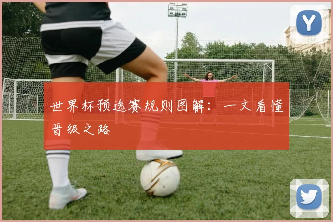 世界杯预选赛规则图解:一文看懂晋级之路