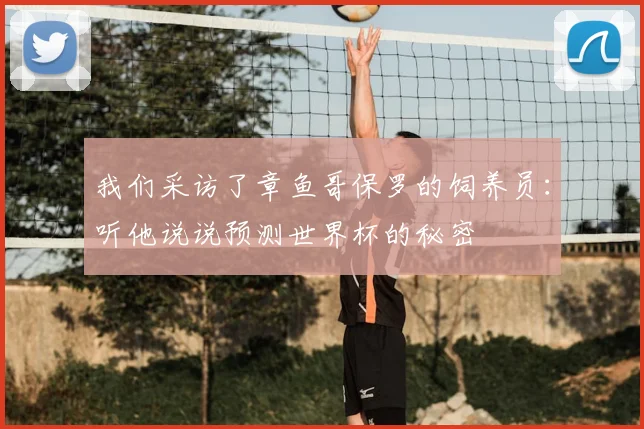 我们采访了章鱼哥保罗的饲养员：听他说说预测世界杯的秘密