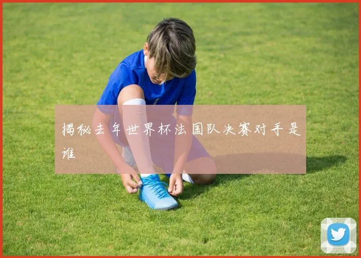 揭秘去年世界杯法国队决赛对手是谁