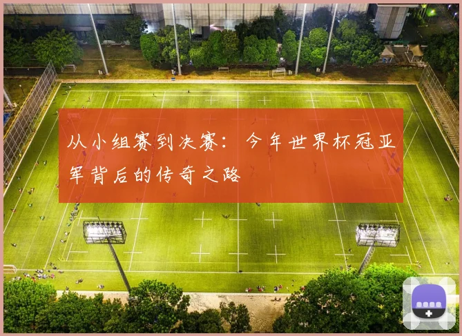 从小组赛到决赛：今年世界杯冠亚军背后的传奇之路