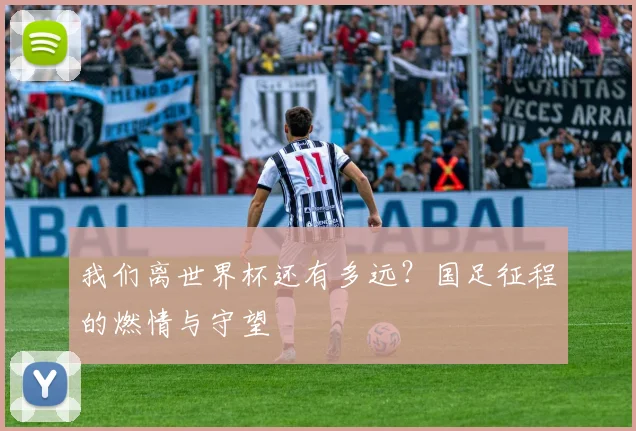 我们离世界杯还有多远？国足征程的燃情与守望