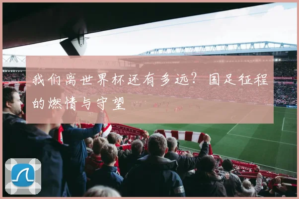 我们离世界杯还有多远？国足征程的燃情与守望