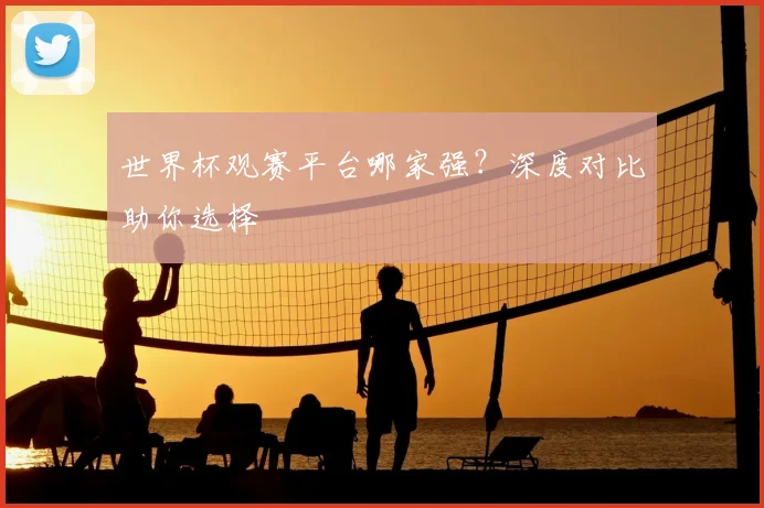 世界杯观赛平台哪家强？深度对比助你选择