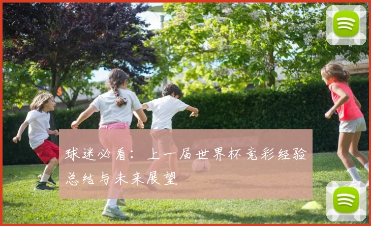 球迷必看：上一届世界杯竞彩经验总结与未来展望