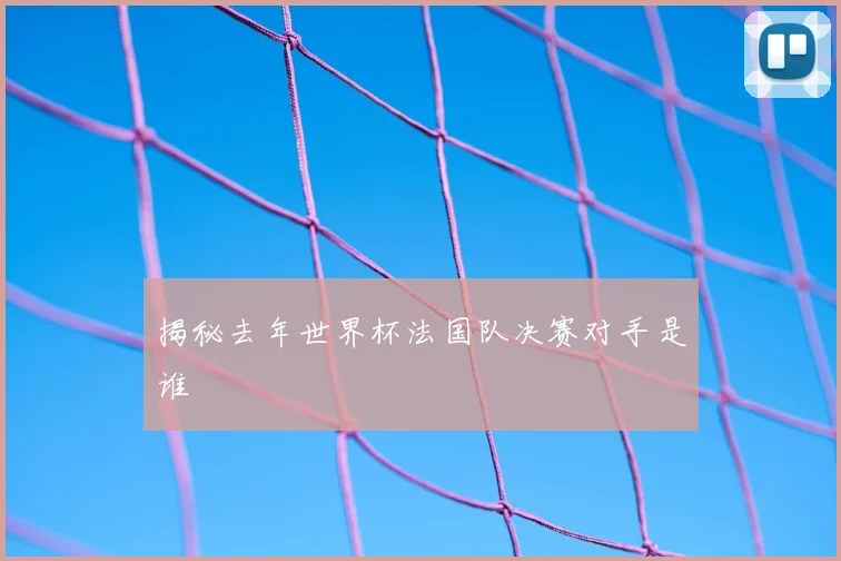 揭秘去年世界杯法国队决赛对手是谁