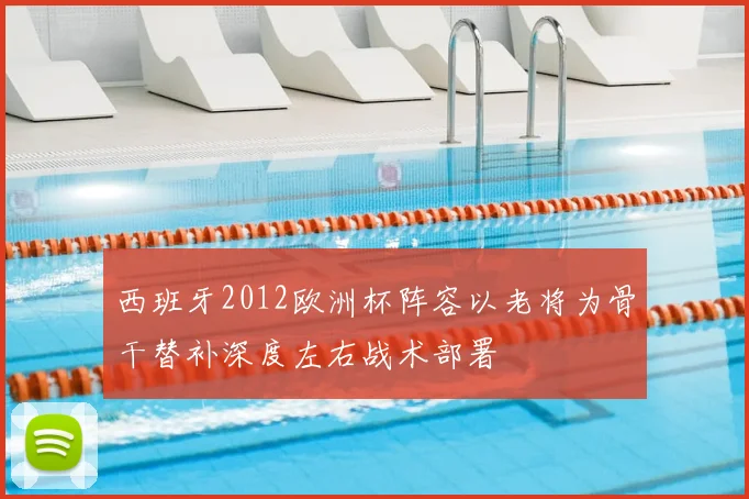 西班牙2012欧洲杯阵容以老将为骨干替补深度左右战术部署