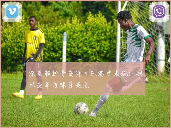 深度解析青岛海牛队赛季表现：战术变革与球员亮点