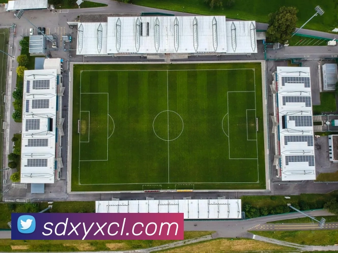 多媒体互动体验